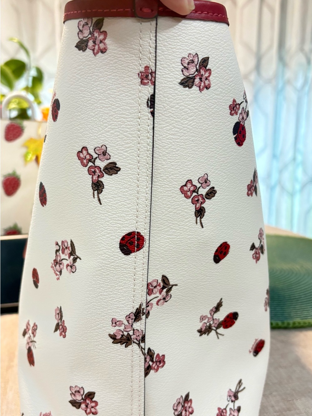 Coach Ladybug set - Picture 4 of 10